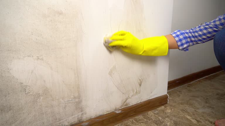 Mold Remediation for Rental Properties in Cornish, ME